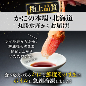訳あり ズワイガニ 爪 600g 冷凍 ボイル　ずわいがに ずわい蟹 カニ かに 蟹 しゃぶしゃぶ カニしゃぶ  サイズ違い 不揃い 規格外  年末年始 お歳暮 正月 ギフト 2025