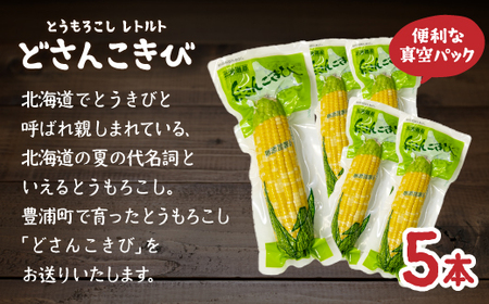 北海道産 とうもろこし 5本 どさんこきび 