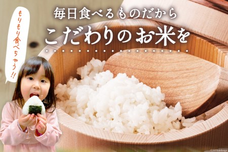 宮城県産 ひとめぼれ 10kg (5kg×2袋) 米 ひとめぼれ [宮城県 気仙沼市 20565763]