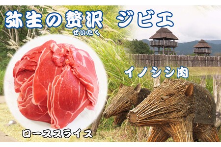 【定期便12回】脊振ジビエ イノシシ肉(ローススライス)800g (H072124)