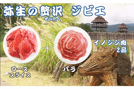 【定期便3回】脊振ジビエ イノシシ肉(ロース バラ)2品詰合せ800g (H072125)
