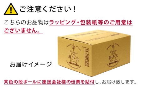 【9カ月定期便】軽井沢ブルワリー クラフトビール 10種10缶 飲み比べ セット | クラフトビール 地ビール
