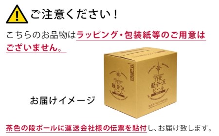 【3カ月定期便】軽井沢ブルワリー クラフトビール 10種20缶 飲み比べ セット | クラフトビール 地ビール