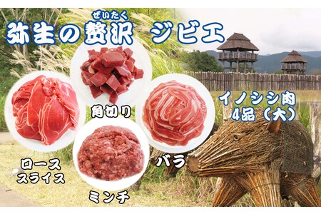 定期便6回 脊振ジビエ イノシシ肉(ロース バラ 角切り ミンチ)詰合せ(大) (H072132)