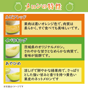 【2026年5月中旬より順次発送】★数量限定★お店で買えない逸品！亀田農園のまごころメロン5kg(4～6玉)｜果物 くだもの メロン ルピアレッド イバラキング あやひめ 数量限定 茨城県 行方市（B-1-1）