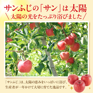 【2026年産】りんご「サンふじ」約5kg(14～18玉入) りんご