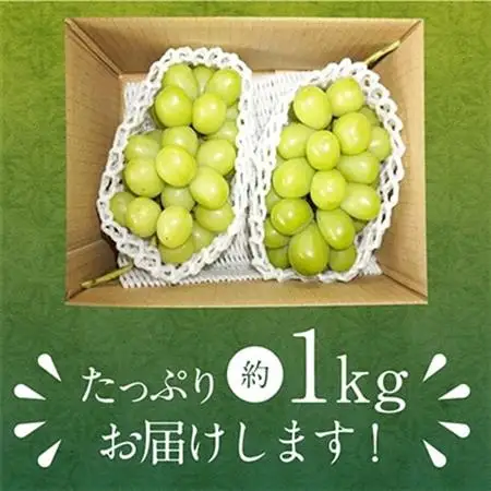 【2026年発送】シャインマスカット 1kg (2房) 農家直送 世界農業遺産認定地特産【配送不可地域：離島】【1117446】