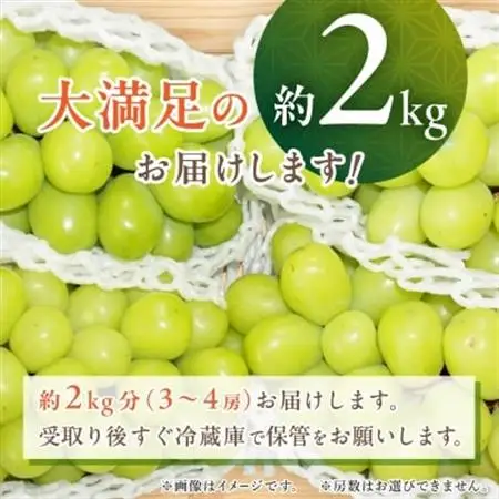 【2026年発送】シャインマスカット 2kg (3～4房) 農家直送 世界農業遺産認定地特産【配送不可地域：離島】【1117447】