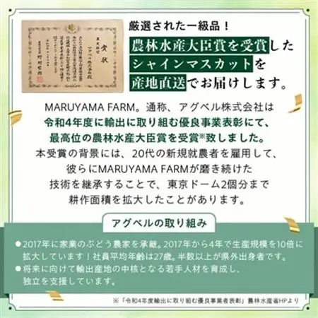 【 2026年発送】農林水産大臣賞受賞!!シャインマスカット 2房 1kg以上_甘いシャインマスカット あまいシャインマスカット 美味しいシャインマスカット おいしいシャインマスカット 人気のシャインマスカット 瑞々しいシャインマスカット _【配送不可地域：離島】【1143545】