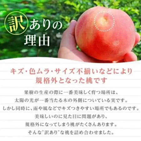 2026年発送 【訳あり】山梨もも2kg以上 5～8玉 熟練農家厳選の旬の桃 ご家庭用【配送不可地域：離島・沖縄県】【1277692】