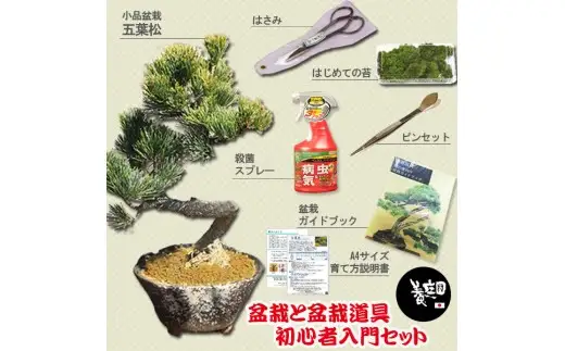【39-10】 養庄園 盆栽と盆栽道具 初心者入門セット