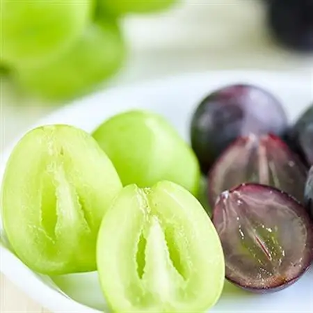 【2026年発送】シャインマスカット 巨峰 2種セット 大人気ぶどう2種盛り合わせ計1kg以上_甘いシャインマスカット あまいシャインマスカット 美味しいシャインマスカット おいしいシャインマスカット 人気のシャインマスカット 瑞々しいシャインマスカット _【配送不可地域：離島】【1296211】