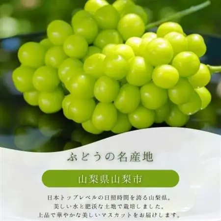 【2026年発送】冬に食べる貴重なシャインマスカット2房約1.1kg以上【配送不可地域：離島】【1374931】