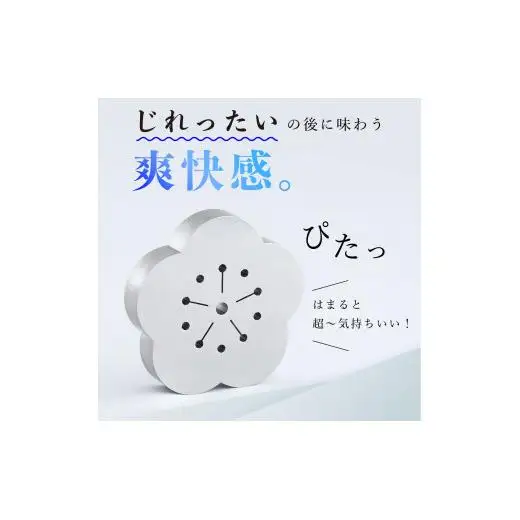 梅ZIREL　15Pパズル