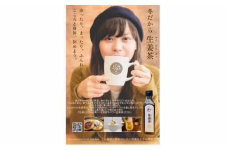 Kocomo’s 生姜茶 ジンジャーシロップ 200ml×2本 _S133