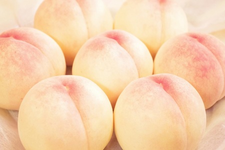 樹熟し 白桃 2kg 糖度12度以上 _S89