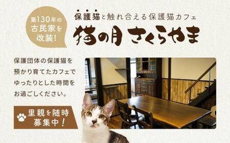 猫の月さくらやまご招待券2名様分（猫カフェ60分無料＋ワンドリンク付き）　ネコカフェ チケット 猫 ねこ ドリンク付き 古民家カフェ 保護猫 猫の月 さくらやま LM006
