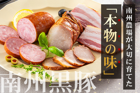 鹿児島県産 黒豚バラエティセットA 約600g (黒豚焼豚200g×1・黒豚ベーコン150g×1・黒豚ボロニア250g×1) NS-510 ❘ 肉 お肉 豚肉 豚 にく ぶた かごしま黒豚 ベーコン ソーセージ チャーハン ポトフ 野菜炒め 冷蔵 小分け お弁当 おかず 贈答 詰め合わせ 鹿児島県 南大隅町 南州農場
