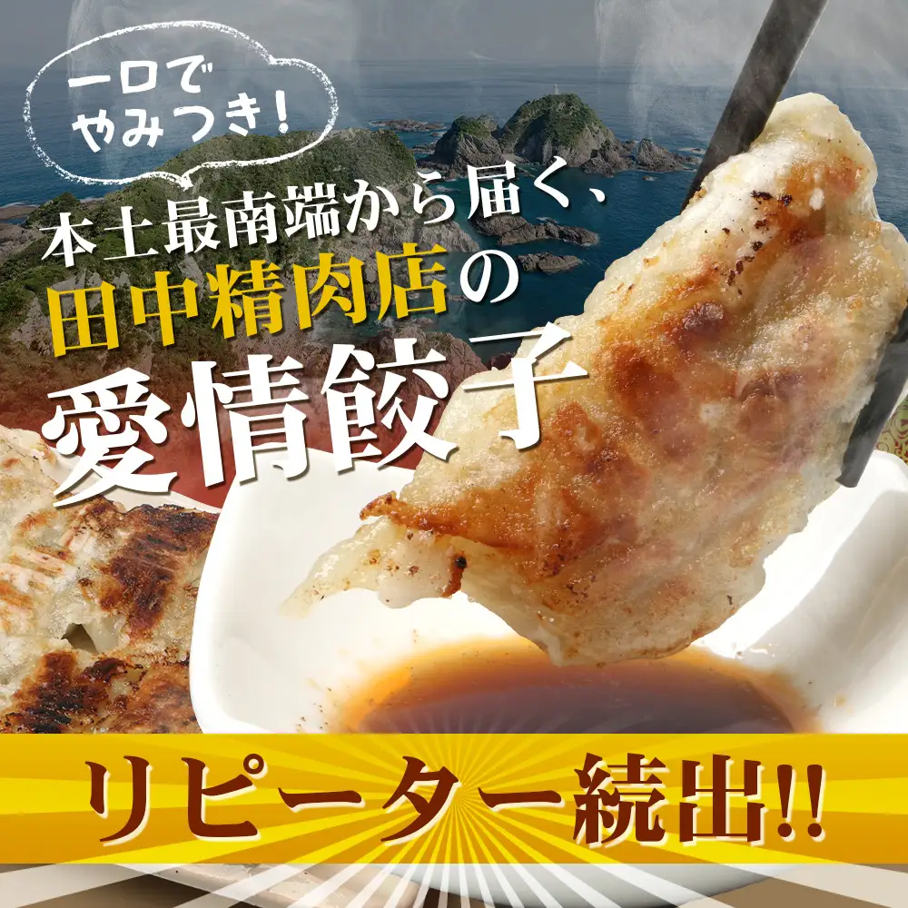 《リピーター続出！》佐多の田中肉屋 ニンニクたっぷりやみつき餃子 60個 (12個入り×5パック) TA-401 | ぎょうざ 餃子 ギョウザ 豚肉 ひき肉 にんにく スタミナ餃子 焼くだけ 簡単 小分け 大容量 手作り お惣菜 おかず 保存料不使用 冷凍 鹿児島県 南大隅町 田中精肉店
