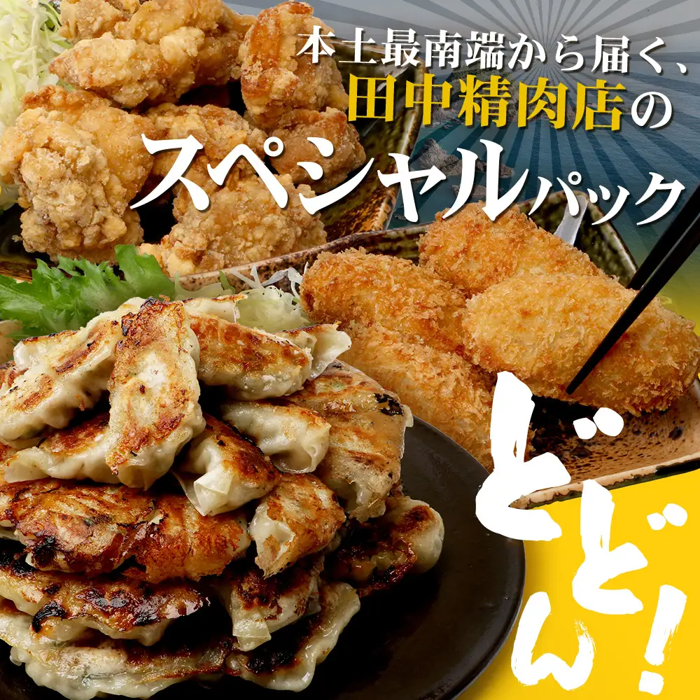 佐多の田中肉屋 スペシャルパック（餃子・コロッケ・味付唐揚げ）冷凍便 TA-405 | 国産 お惣菜 手作り 餃子 ギョーザ やみつき ニンニク から揚げ 若鶏唐揚げ 鶏肉 揚げるだけ コロッケ 大容量 おかず 弁当 おつまみ 保存料不使用 簡単調理 産地直送 鹿児島県 南大隅町 田中精肉店 
