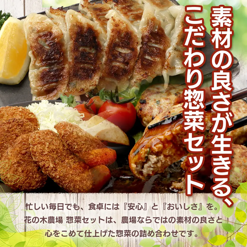 花の木農場【人気惣菜セット】３種 HK-504｜餃子 ぎょうざ ギョウザ ハンバーグ ハムコロッケ コロッケ 冷凍 工場直送 簡単調理 国産 厳選 お弁当 おかず 焼くだけ 揚げるだけ ノウフク 鹿児島県 南大隅町 第2花の木ファーム