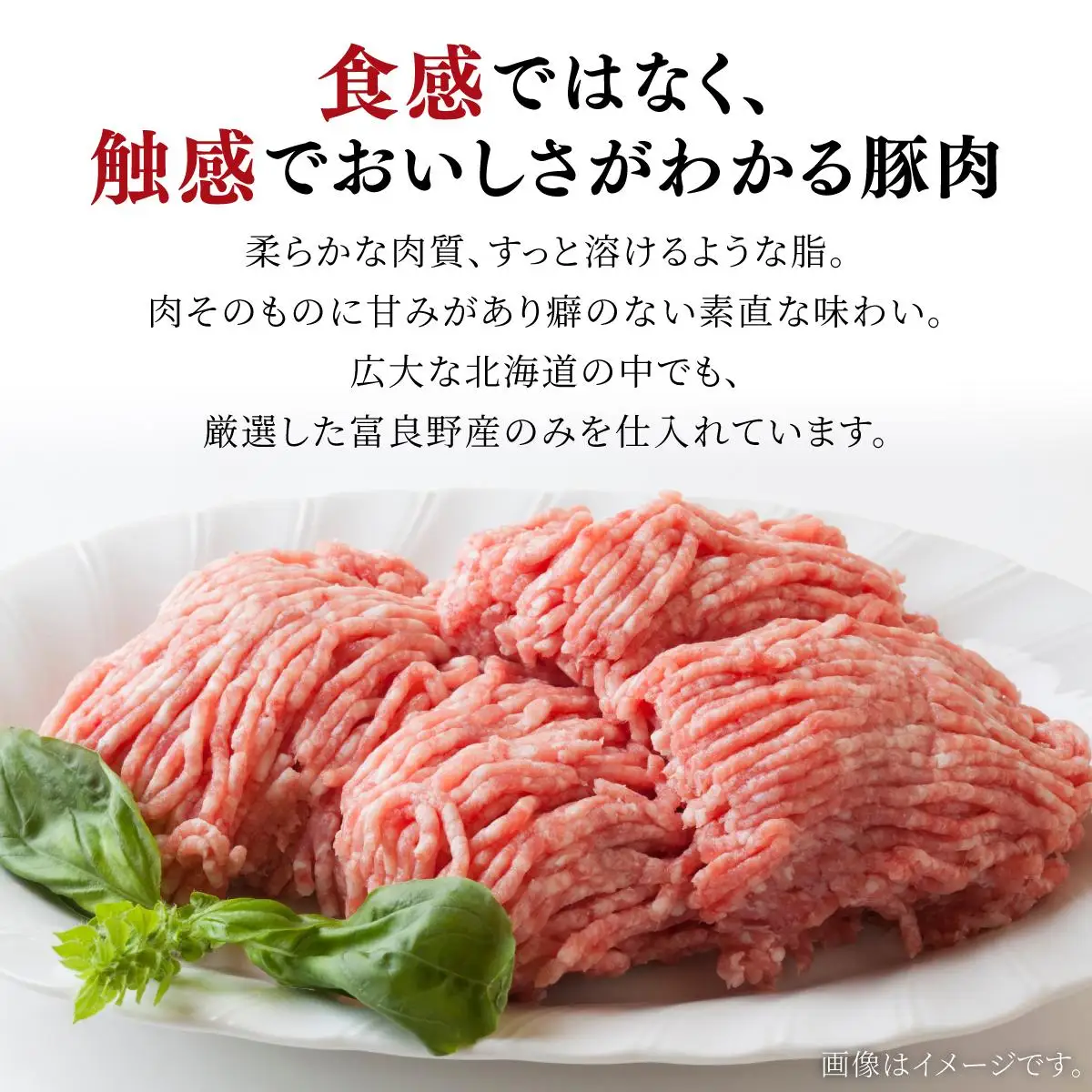 北海道産豚ひき肉2kg（200g×10パック） F21H-431