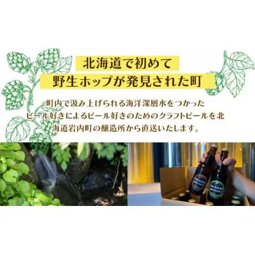 クラフトビール 飲み比べ3本セット F21H-473