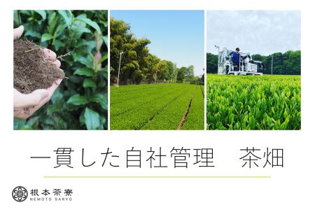 毎日茶 深蒸し茶 1.5kg No.030