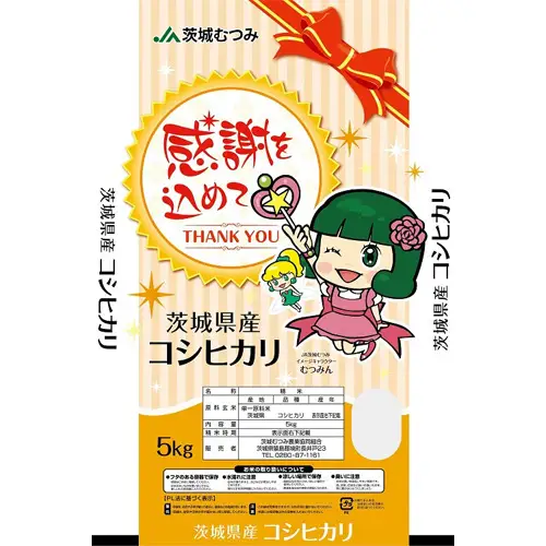 【令和7年産】茨城県産コシヒカリ10kg（5kg×2袋）精米 JA茨城むつみ ／ こしひかり 令和7年 新米 米 お米 おこめ こめ コメ 精米 白米 ご飯 国産米 10kg 10キロ おいしい お取り寄せ 産地直送 産直 坂東市産 茨城県産 茨城産 茨城県 特産品 No.179