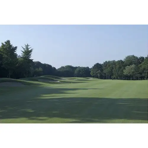 猿島カントリー倶楽部利用券9000円 ／ ゴルフ golf GOLF ごるふ ゴルフ場 チケット ちけっと 体験 プレー券 利用券 ゴルフ場利用券 チャンピオンコース アメリカンスタイル アクセス抜群 好立地 茨城県 No.150