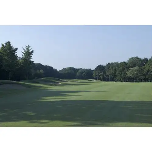 猿島カントリー倶楽部利用券15000円 ／ ゴルフ golf GOLF ごるふ ゴルフ場 チケット ちけっと 体験 プレー券 利用券 ゴルフ場利用券 チャンピオンコース アメリカンスタイル アクセス抜群 好立地 茨城県 No.158