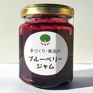 ＜無添加＞ブルーベリージャム4個セット※離島への配送不可