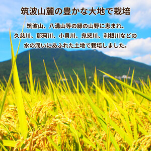 令和7年産茨城県産コシヒカリ・あきたこまち　精米　お米詰合せ　合計10kg (5kg×2袋) ※離島への配送不可 ※2025年9月下旬～2026年7月下旬頃に順次発送予定 ｜こしひかり 白米 米 精米 ご飯 ブランド米 送料無料 お弁当 もちもち 詰め合わせ セット 食べ比べ 10kg 小分け 5kg 