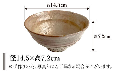 皿 【数量限定8皿】井戸 茶碗 島根県松江市/火の川焼松江陶苑[ALGH005] 皿 皿