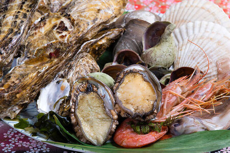 宿泊券 【 南三陸 旬のお任せ！ 海鮮 豪快 舟盛り 付き】 ペア 1泊2食付 プラン [明神崎荘 宮城県 南三陸町 30az0001]