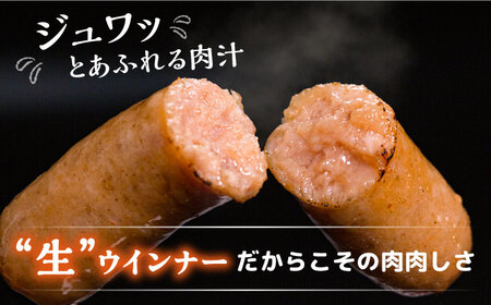 【お中元対象】特製 生ハンバーグ 生ハム 生ウインナー 3種 セット 糸島市 / 志摩スモークハウス[AOA028] 肉 加工品
