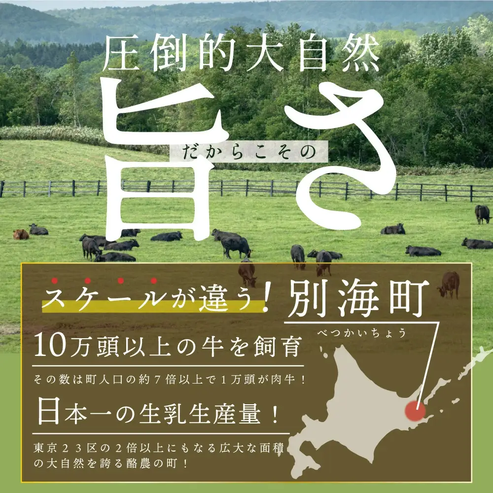 北海道 べつかい 牛 旨とろ フレーク（200ｇ）×2個セット【AJ0000109】   （ 牛 牛肉 別海牛 フレーク 北海道 別海町 人気 ふるさと納税 ）