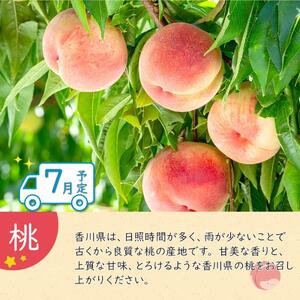 夏のいいとこどり定期便 【7月・8月・9月】全3回