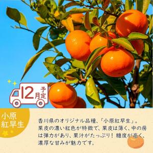 冬のいいとこどり定期便 【12月・1月・2月】全3回