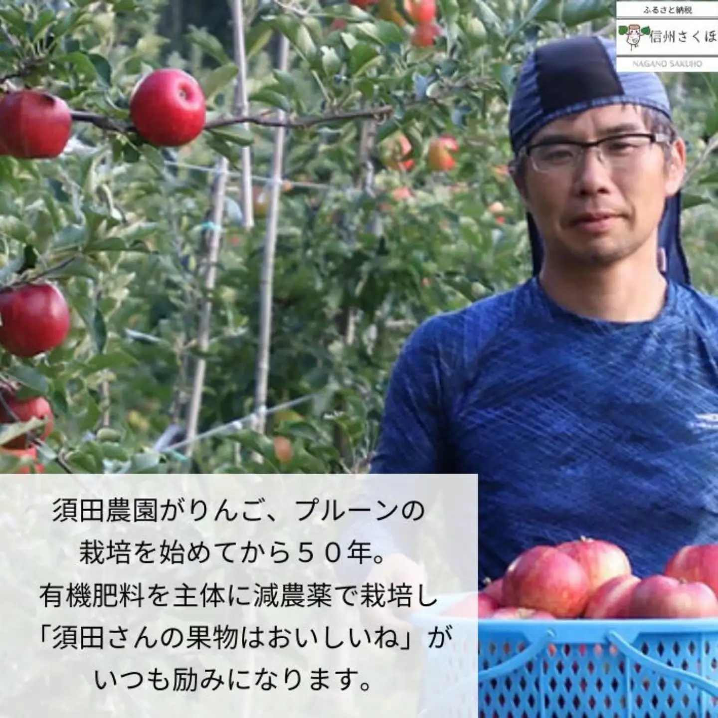 信州産　果汁100％りんごジュース　２本　＆「食べる」まるごと人参ジュースセット　１本　計３本［SU-104］