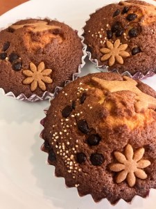 チョコとジンジャーケーキ8個入詰合せ＋お試し品2個 ※着日指定不可