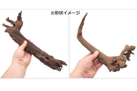 上質流木 雅～みやび～ サイズミックス（約25～40cm）5本