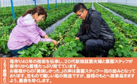 いちご うるう農園の冷凍あまおう 約2kg※配送不可：離島 