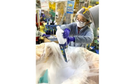 【詰替用大容量3袋×2】 衣料用洗剤 デオスタイル&柔軟剤 フラガンシア 摘みたてプレシャスブルーの香り 洗剤 柔軟剤 衣類 障がい者 就労支援 事業