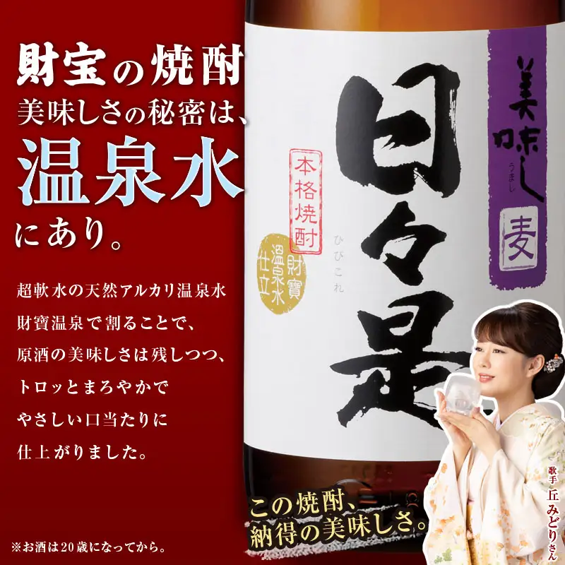 2026-1 麦焼酎 紙パック6本『黒日々是（麦）』温泉水仕立ての焼酎 KN021-009 酒 アルコール