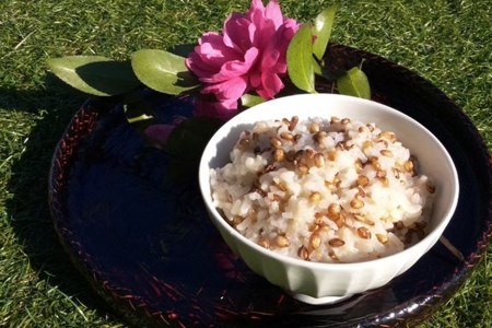 山々と源流の山国町「nakano麦園」の希少な『紫もち麦』ダイシモチ300g×3袋 | 900g 900グラム 紫もち麦 もち麦 麦 ダイシモチ 紫麦 雑穀 穀物 希少 国産 麦ご飯 大分県 中津市