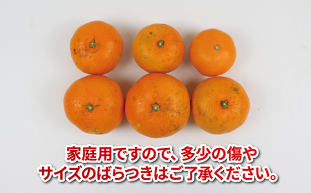 【みかん】温州みかん8kg家庭用平石農園国産宇和島|B010-017008