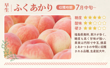 もも【ふくあかり・2026年産】特秀　3kg　桑折町産　JAふくしま未来　桃 ／ もも モモ 果物 フルーツ 旬 甘い 甘み ジューシー 果肉 果汁 新鮮 フレッシュ デザート おいしい 産地直送 桑折 こおり こおりまち 福島県 特産品 No.169