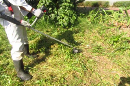 【別府市限定】草刈りサービス 20㎡まで_ B156-001【ふるさと納税 別府市内限定 草刈りサービス 20平方メートルまで 要事前連絡 草取り 除草 雑草抜き 草引き 草むしり 芝刈り 草刈り代行 代行サービス 草の処分 別府市】