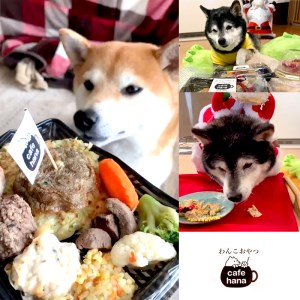 わんこのお弁当セット Sサイズ